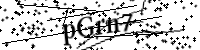 Veuillez saisir les lettres et les chiffres ci-dessous
